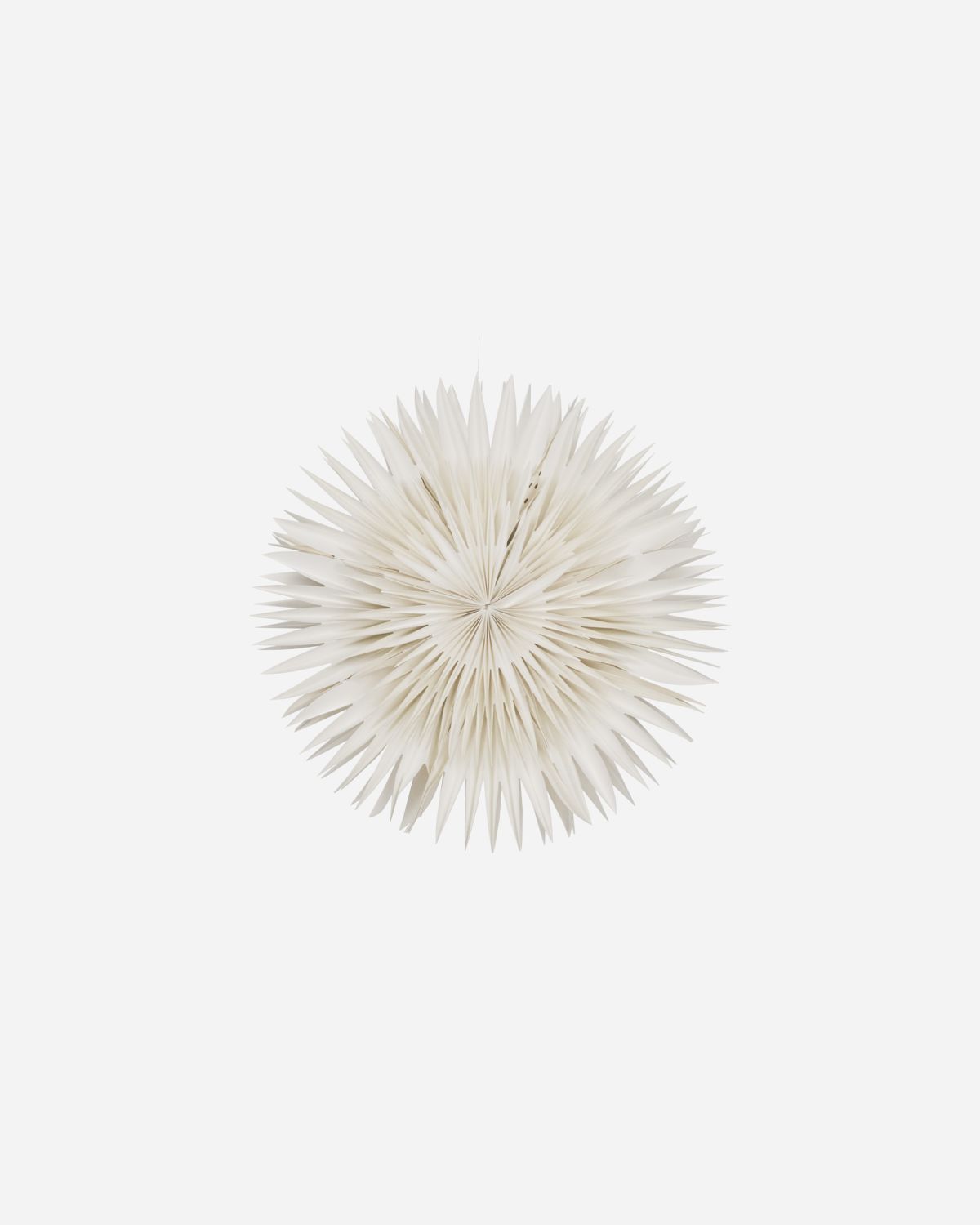 Stern Layer | 40cm | House Doctor