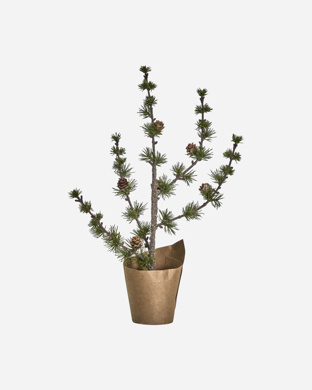 Zedernbäumchen | Grün | 50 cm | House Doctor