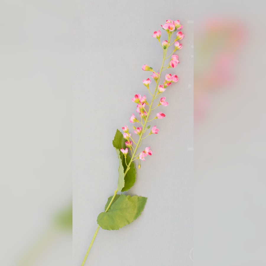 Mini Malve | Rosa | 70 cm