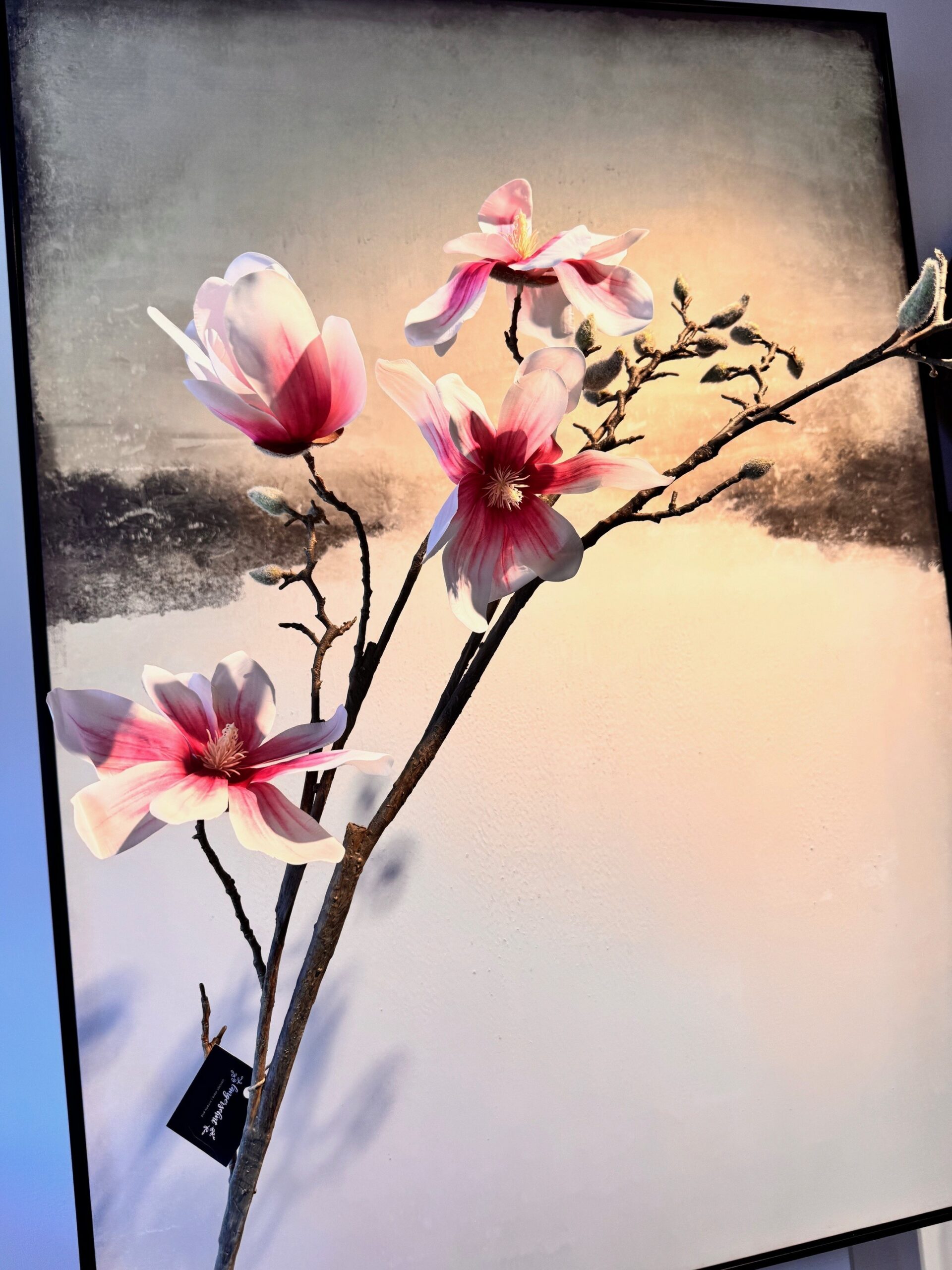 Magnolienzweig | 103cm | creme-rosa – Bild 2