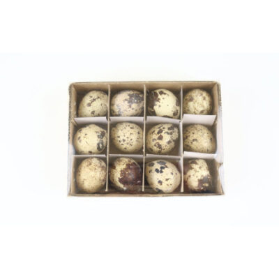 Wachteleier Mix | Natur | 12 Stück