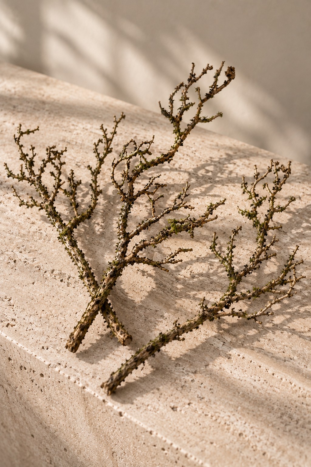 Kunstzweig SKOG | 38cm concept store