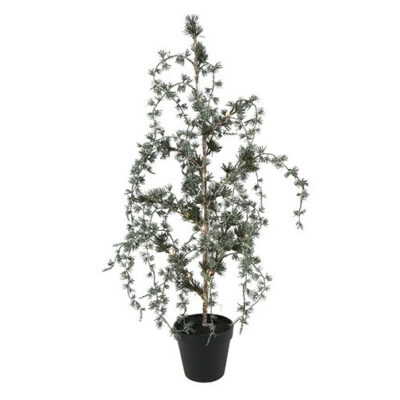 LED-Zeder LYSANDER | 72 cm