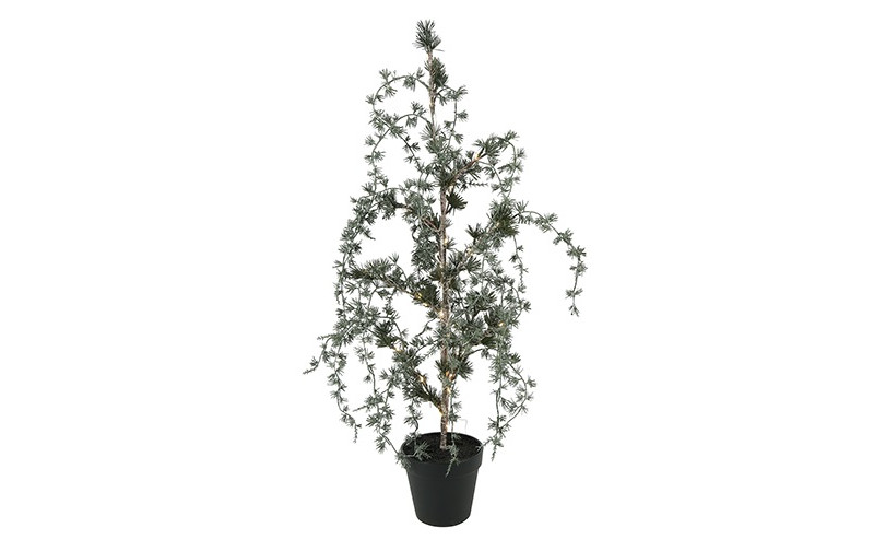 LED-Zeder LYSANDER | 72 cm