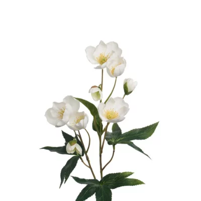 Weiße künstliche Christrose im Interior