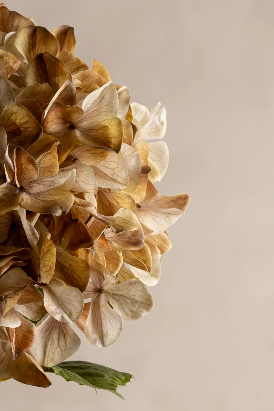 Künstliche Hortensie Detailansicht