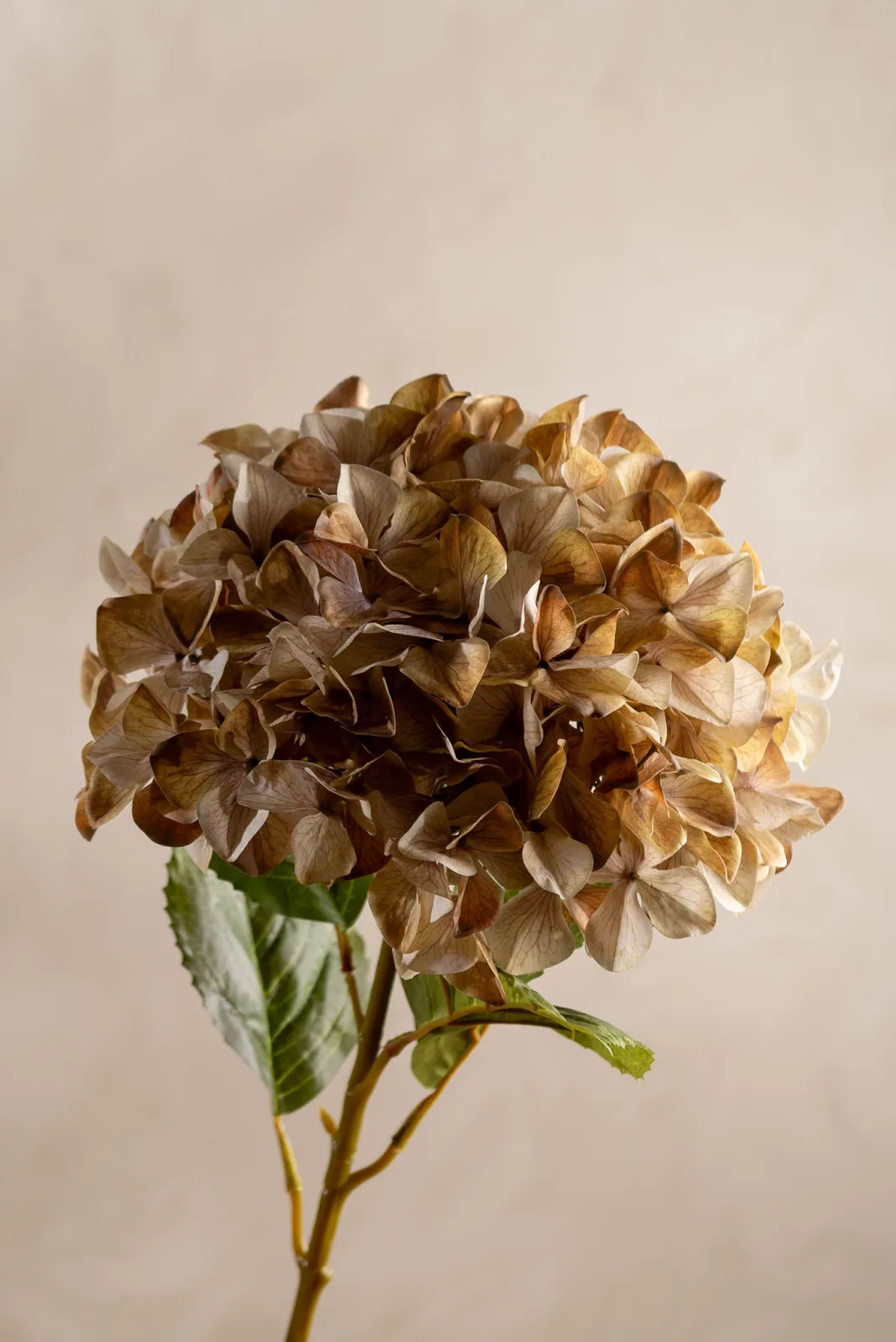 Künstliche Hortensie dekoriert