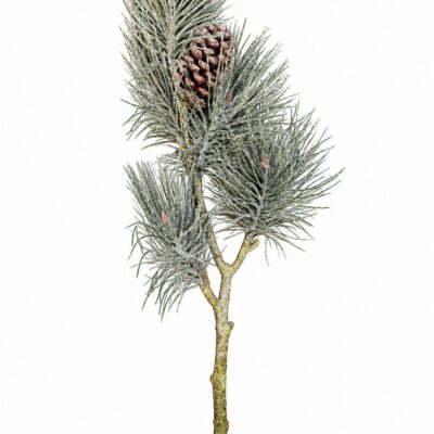 Kiefernzweig mit Zapfen – Grün | 70 cm