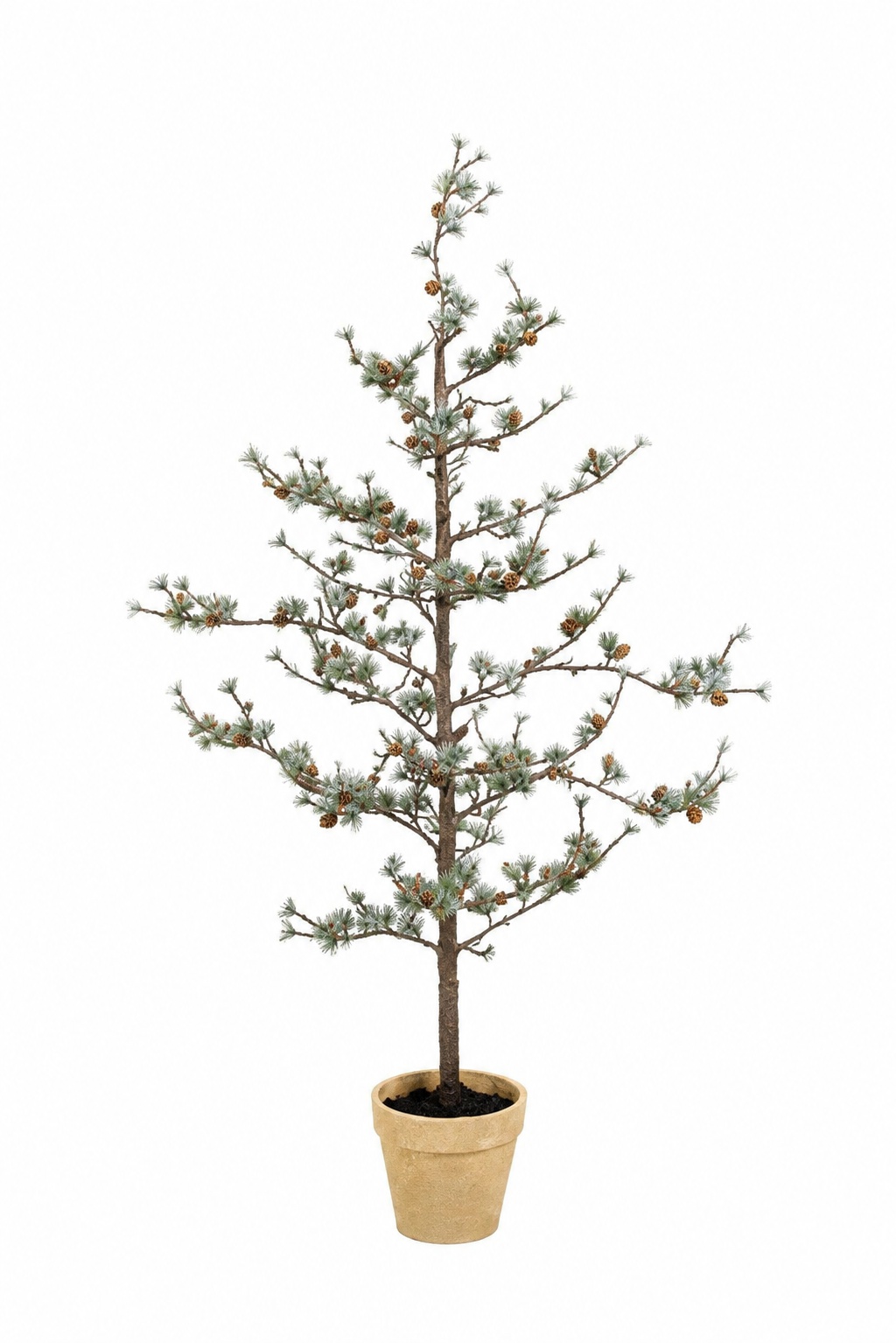 Lärchenbaum 100 cm